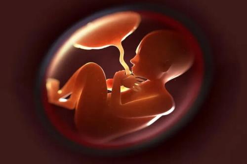 پیش بینی سقط جنین با تحلیل و بررسی ژنوم