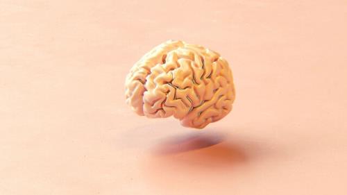 ساخت مغز بوسیله چاپگر ۳بعدی!