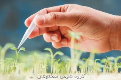 اعطای جایزه دکتر کاظمی آشتیانی به چهره تأثیرگذار بیوتکنولوژی