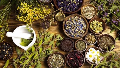 ایجاد فضای فعالیت برای دانشجویان حوزه طب سنتی