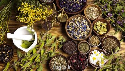 ایجاد فضای فعالیت برای دانشجویان حوزه طب سنتی