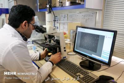 جدید ترین جایگاه علمی ایران در دنیا و منطقه