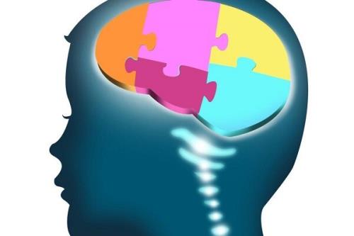 مسابقه تحلیل داده های تصویربرداری برای تشخیص اوتیسم