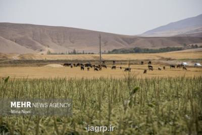 نشست تخصصی نقش آموزش عالی در توسعه بخش کشاورزی