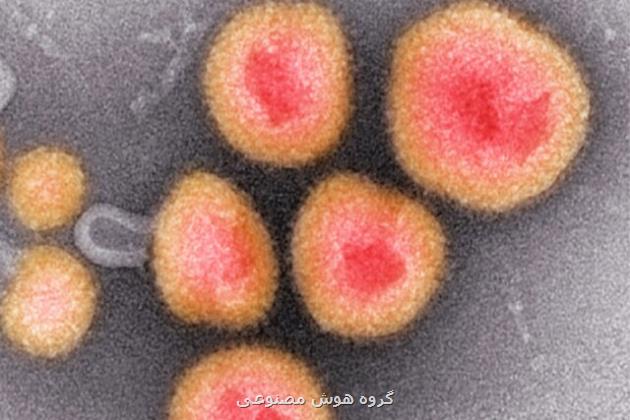 کشف ۳۰ هزار ویروس جدید در دی ان ای میکروب ها