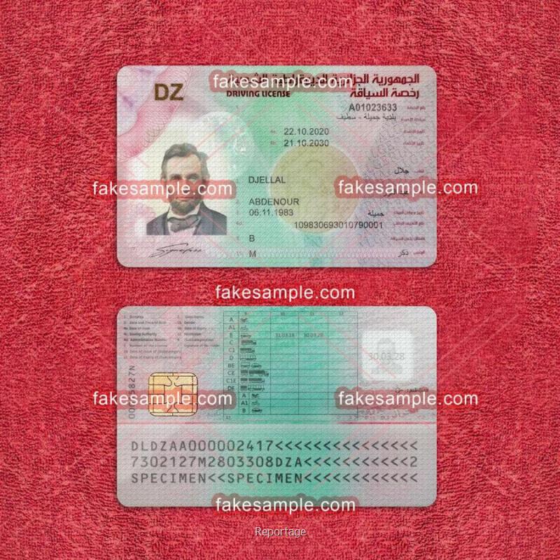 Algeria Driver Licence Fake Template
