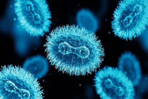 هوش مصنوعی پاشنه آشیل آبله میمونی را پیدا کرد