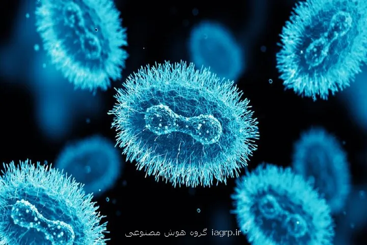 هوش مصنوعی پاشنه آشیل آبله میمونی را پیدا کرد