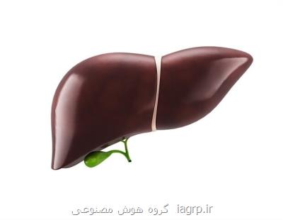 بیماری كبد چرب می تواند به بروز بیماری های عصبی منجر شود