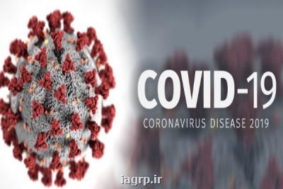 نسخه جهش یافته ویروس كرونا كمتر مرگبار است