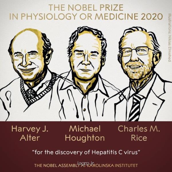 دستاورد برندگان نوبل پزشكی ۲۰۲۰ دقیقا چه بوده است؟