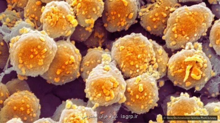استفاده از فسیل های 100 میلیون ساله برای پیش بینی آب و هوای آینده زمین